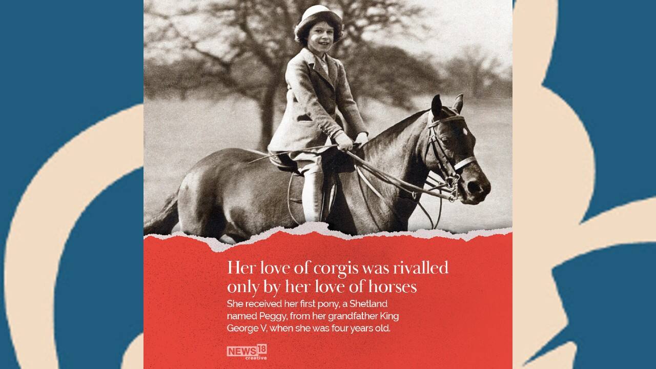 Her love of corgis was rivalled only by her love of horses. (Image: News18 Creative) Her love of corgis was rivalled only by her love of horses. (Image: News18 Creative)