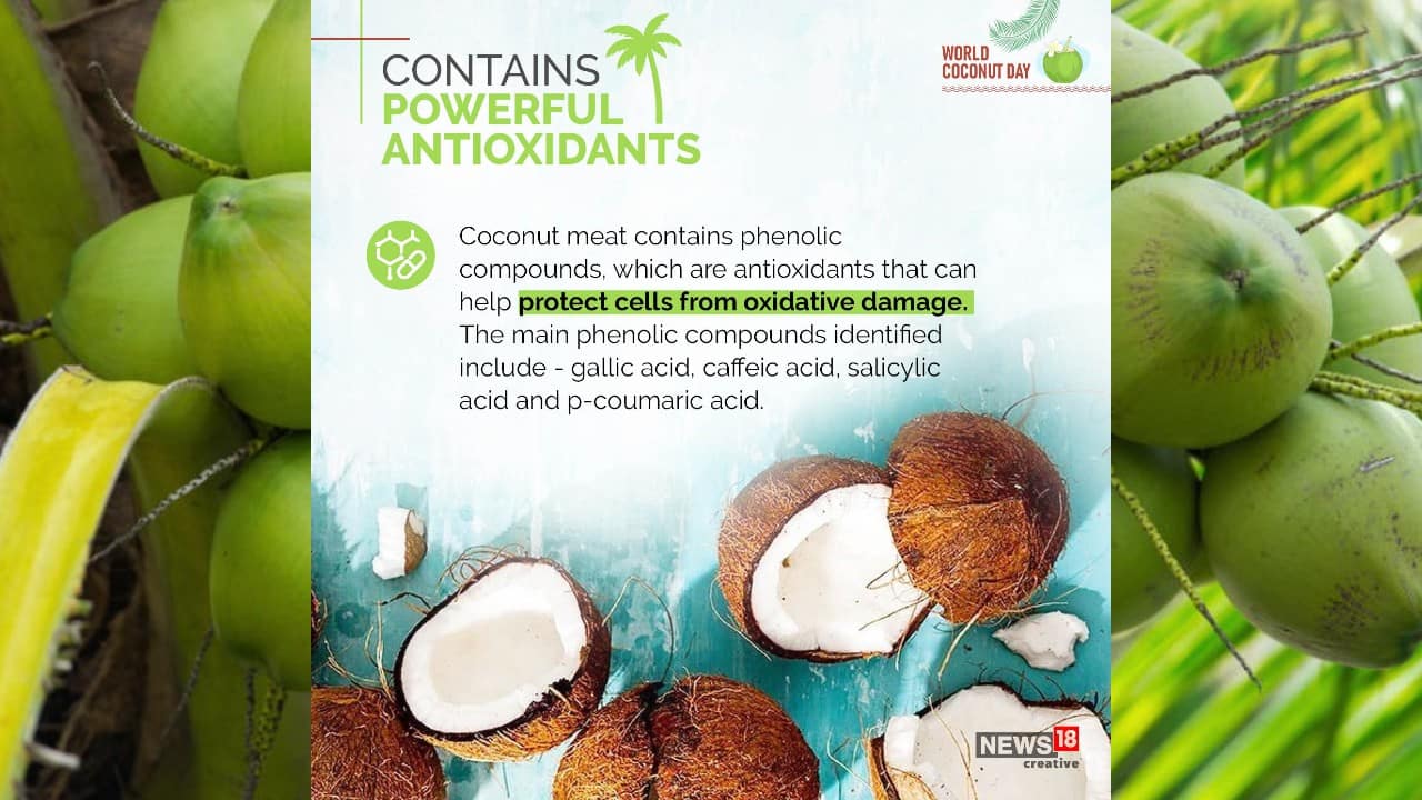 Coconut meat contains phenolic compounds, which are antioxidants that can help protect cells from oxidative damage. (Image: News18 Creative)