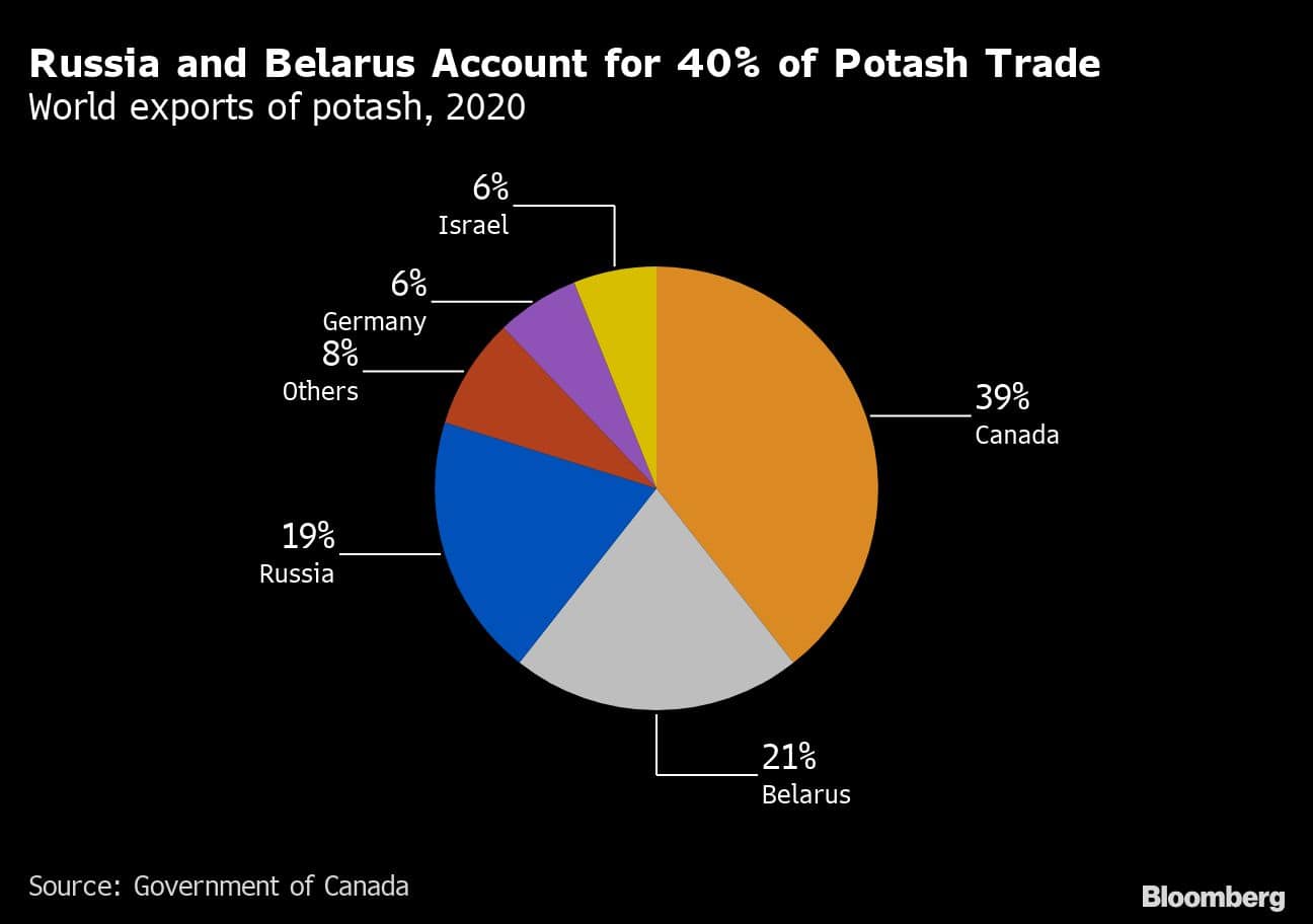 Russia and Belarus Account for 40% of Potash Trade | World exports of potash, 2020