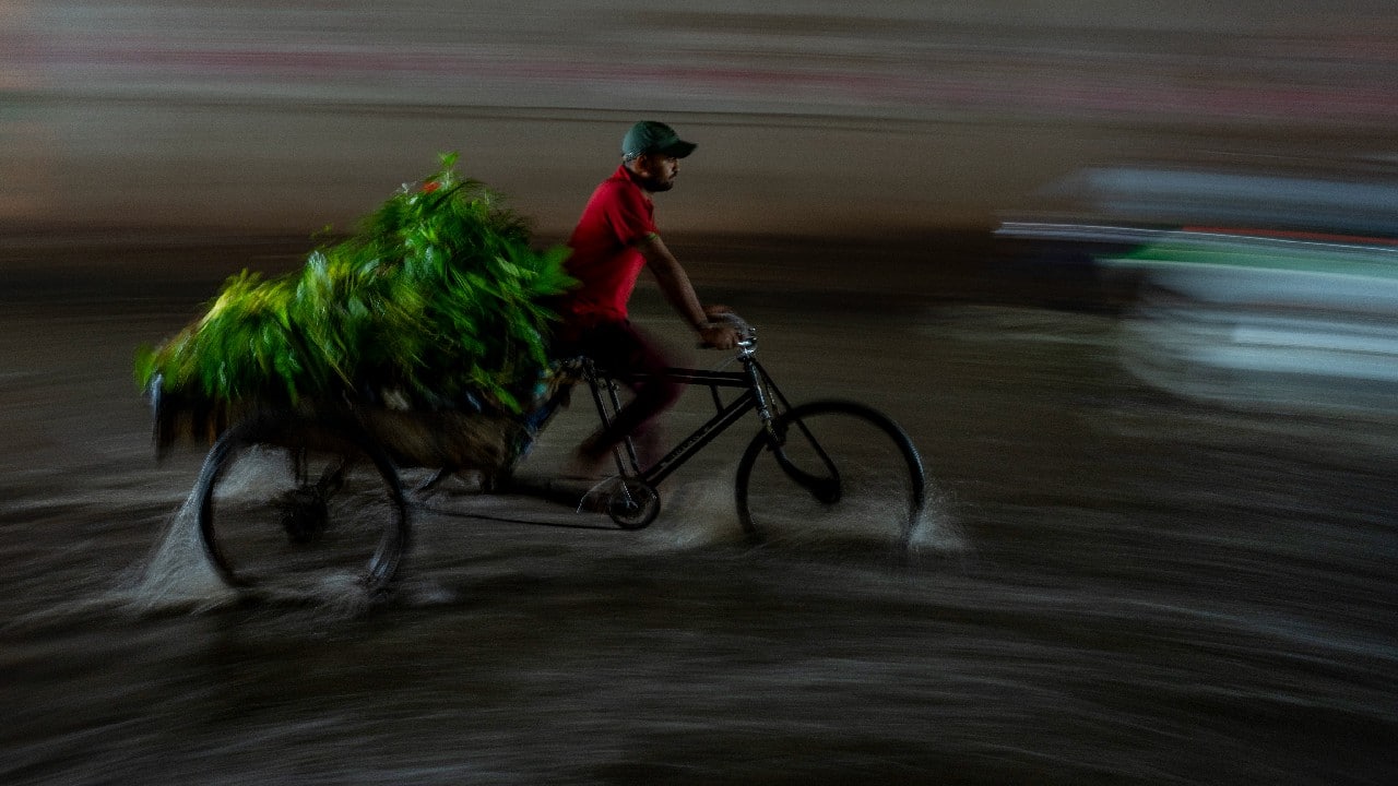 A man rides his cycle rickshaw, ferrying plants, through a waterlogged street as it rains in New Delhi, India, September 22. (Image: AP)