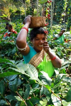 Araku farmers (Photo courtesy Araku Coffee)