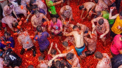 The week in pictures: Stunning images from around the world