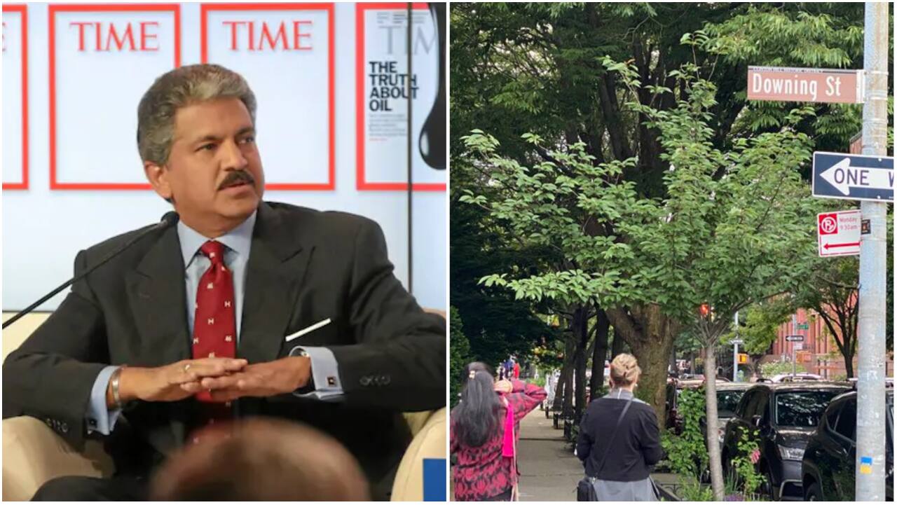 Anand Mahindra finds Downing Street in US 'for whoever misses out' on being UK PM