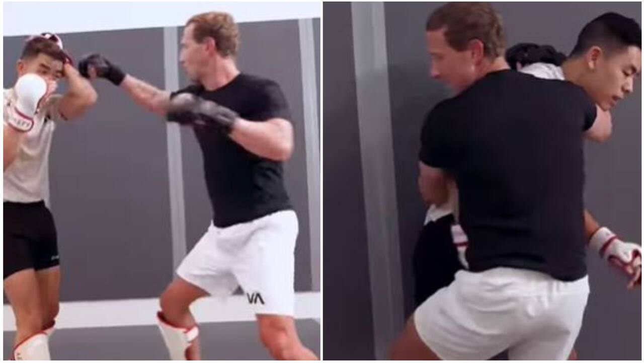 Mark Zuckerberg throws kicks and punches in viral video | Watch