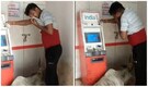 Cow poops, sits inside ATM vestibule as man covers nose and withdraws money | Watch