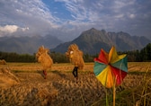 Will weak monsoons sap rural demand? Rural sector much bigger than just agriculture, says Jefferies