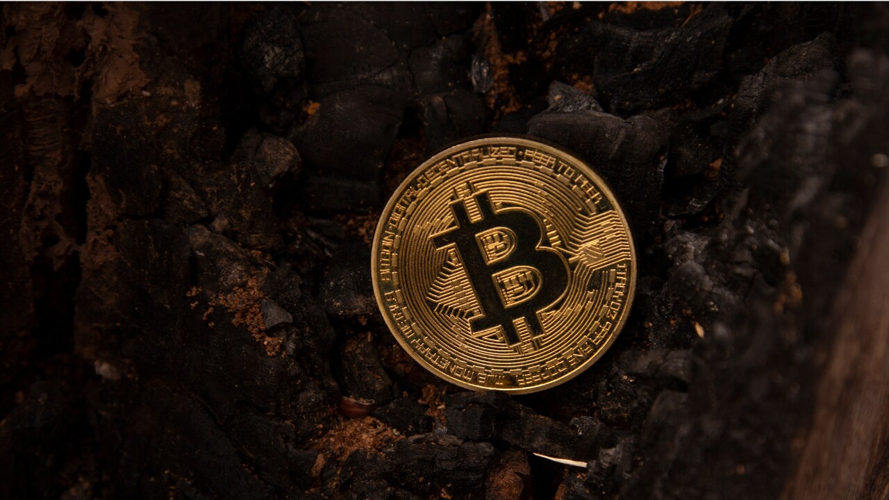 Top Cryptocurrency Prices November 19: Bitcoin and Ether in red as crypto  mcap drops further