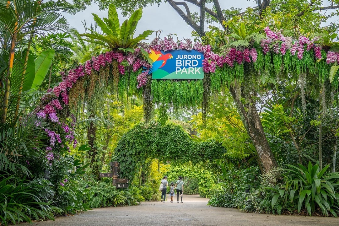 Asia’s largest bird park to close after over 50 years Asia’s largest bird park to close after over 50 years