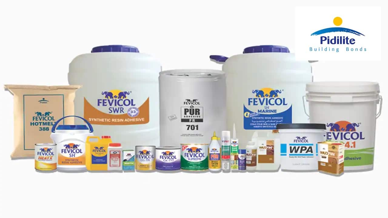 Pidilite Industries Weightage: 4% Sector: Chemicals Active equity schemes that held the stock: 35