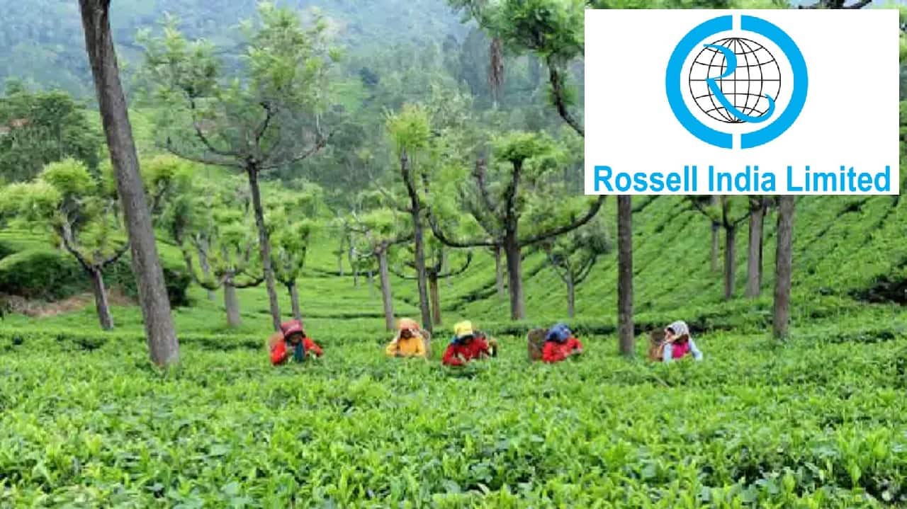 Rossell India Sector: Consumer Non-durables MF investment value: Rs 13 crore Scheme that held the stock: Quant Active fund bought this stock in March