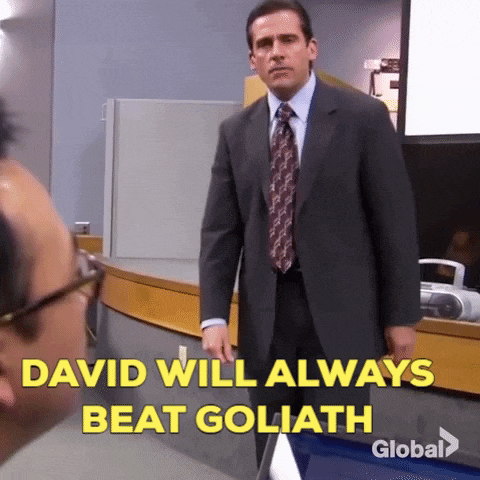 David v/s Goliath