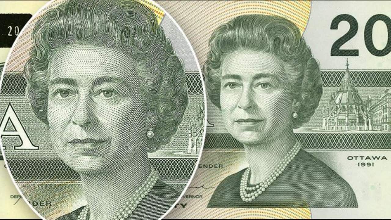 The Queen’s portrait, shot in the early 1980s, on the Birds of Canada series of notes issued in 1991. 