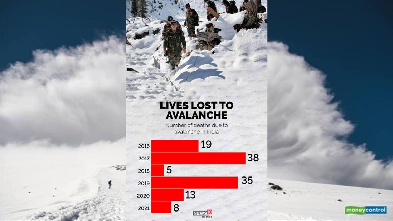 A look at the number of deaths due to avalanche in India. (Image: News18 Creative)
