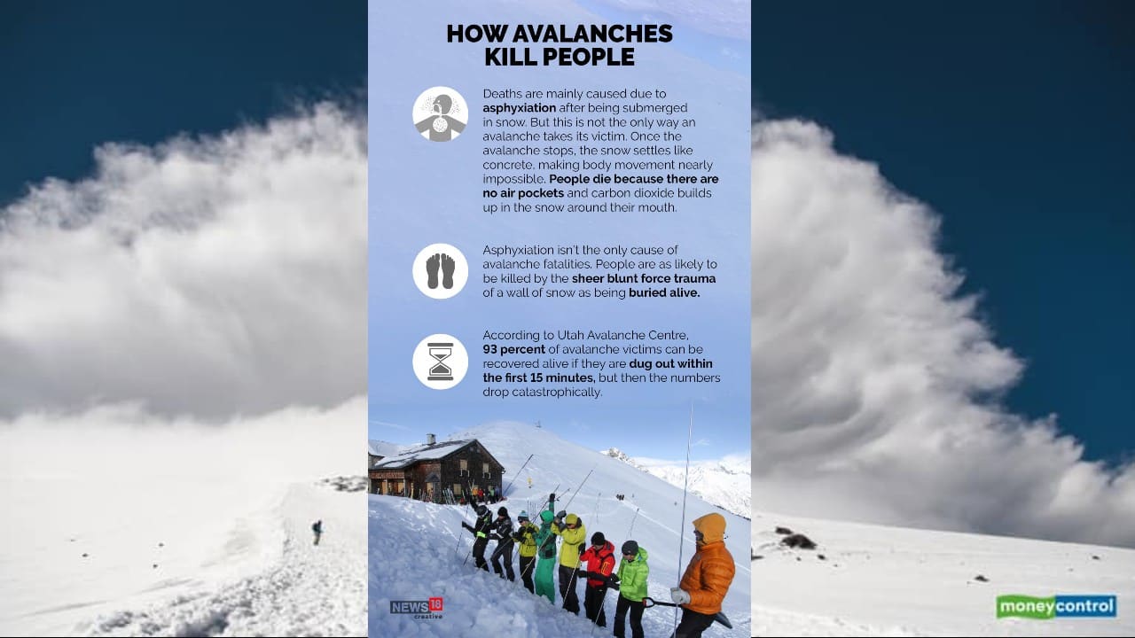 Deaths are mainly caused due to asphyxiation after being submerged in snow. But this is not the only way an avalanche takes its victim. Once the avalanche stops, the snow settles like concrete, making body movement nearly impossible. People die because there are no air pockets and carbon dioxide builds up in the snow around their mouth. (Image: News18 Creative)