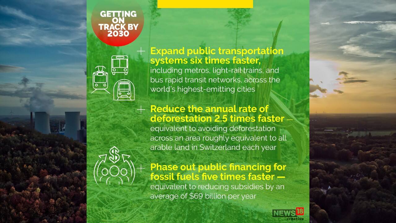 Declines in annual deforestation rates need to occur 2.5 times faster, equivalent to stopping deforestation across an area roughly the size of all the arable land in Switzerland every year this decade.