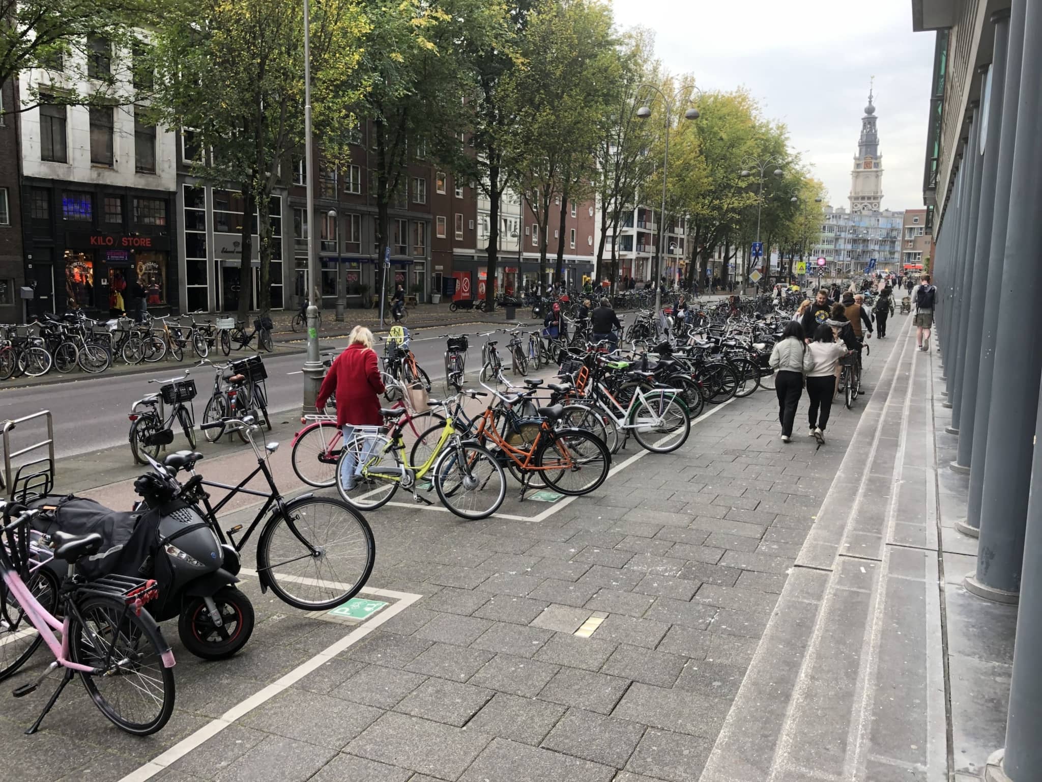 Inside the bicycle’s conquest of Amsterdam