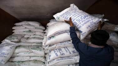 Moneycontrol Pro Panorama | Sugar industry's enthusiasm for ethanol may dim a bit Moneycontrol Pro Panorama | Sugar industry's enthusiasm for ethanol may dim a bit