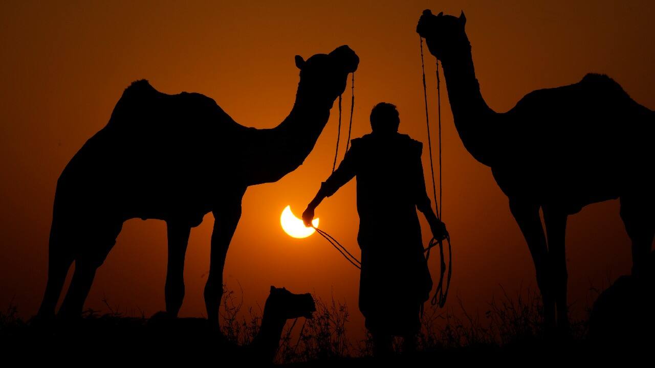 A Camel herder is silhouetted against a partial solar eclipse in Pushkar, in the western Indian state of Rajasthan, October 25. People around the world gathered on October 25 to witness the last solar eclipse of the year, a phenomenon where the moon briefly casts a black shadow that blocks the sun. It was visible today across Europe, western Asia, northeastern Africa and the Middle East. (Image: AP/Deepak Sharma)