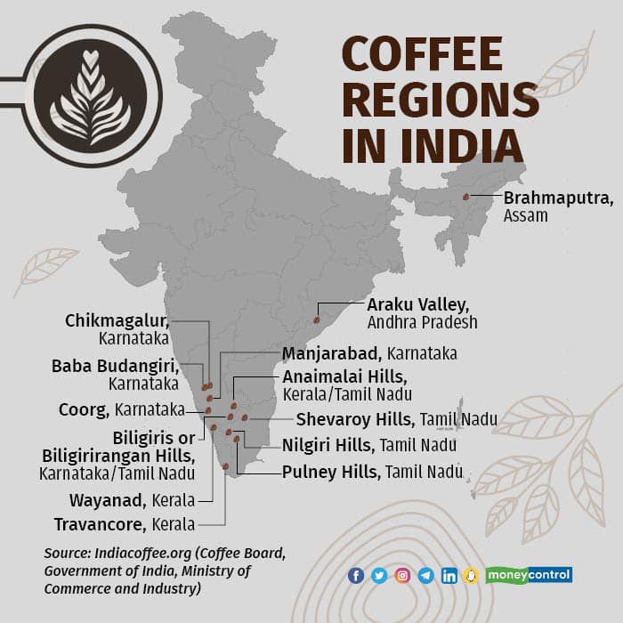 World Coffee Day A revolution is getting stronger in India as premium