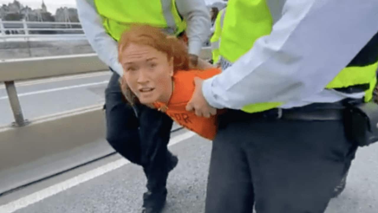 Watch: Climate activist gives interview while being carried away by London police