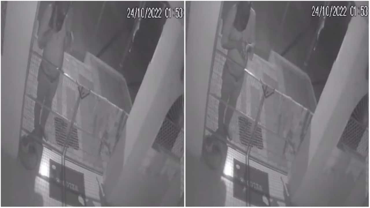 Watch: Thief enters temple, prays before stealing donation box in Madhya Pradesh