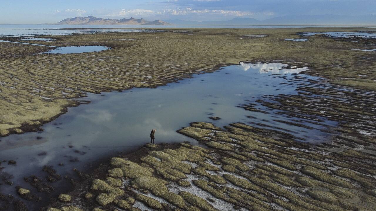 A park ranger from the Utah Department of Natural Resources walks across reef-like structures called microbialites, exposed by receding waters at the Great Salt Lake on September 28.  