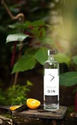 Greater Than Gin