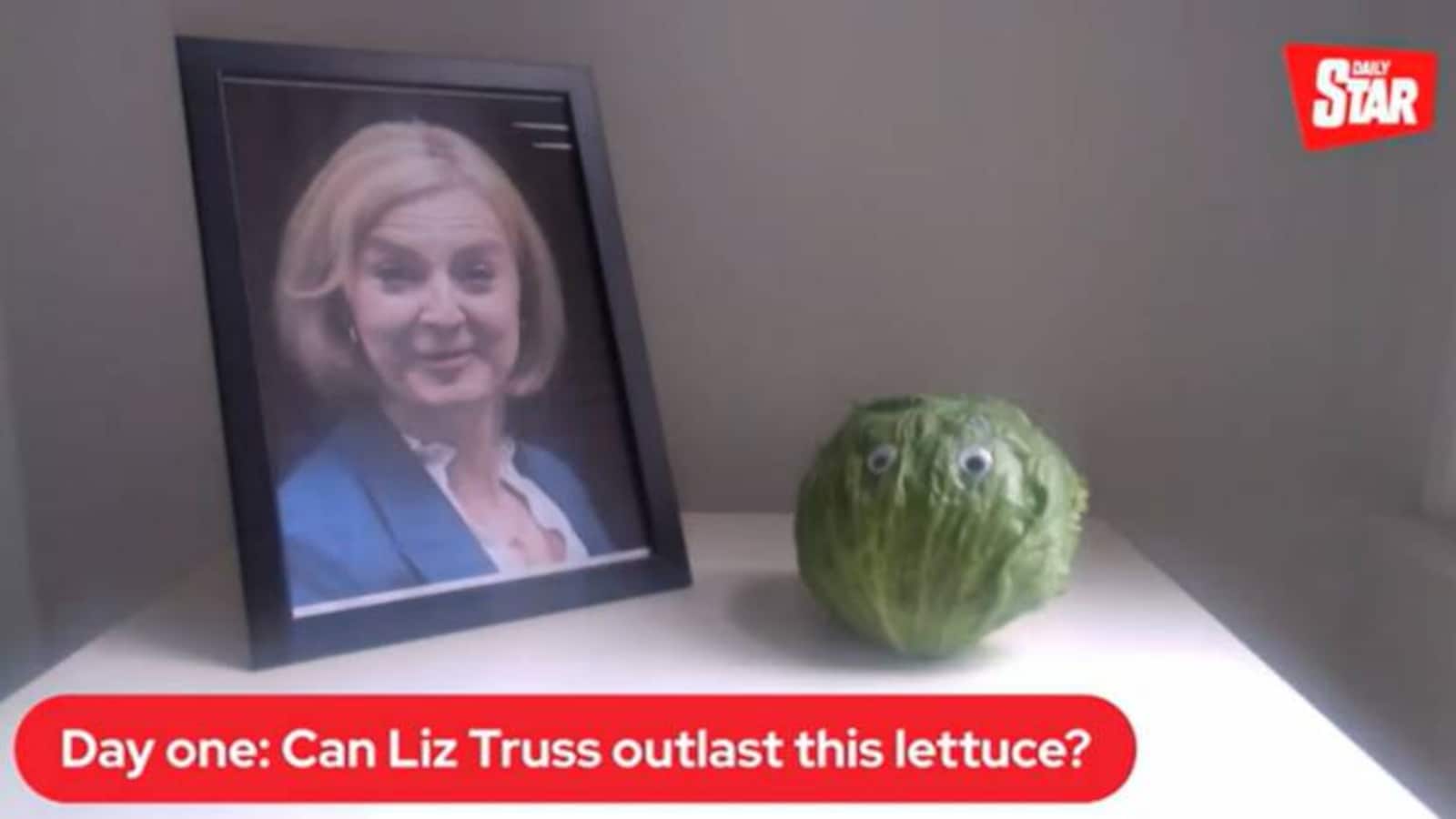 Liz-truss-vs-lettuce-770x435.jpg
