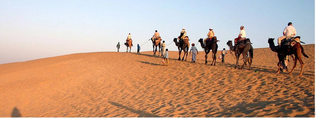 Rajasthan is getting wetter and it’s not good news for the desert ecology Rajasthan is getting wetter and it’s not good news for the desert ecology