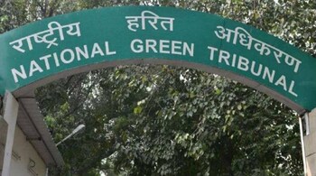 The green tribunal said the panel's report showed 'massive violations' of the guidelines of the Union Ministry of Road Transport and Highways titled Green Highways Policy, 2015 for plantation, transportation, beautification and maintenance of highways.