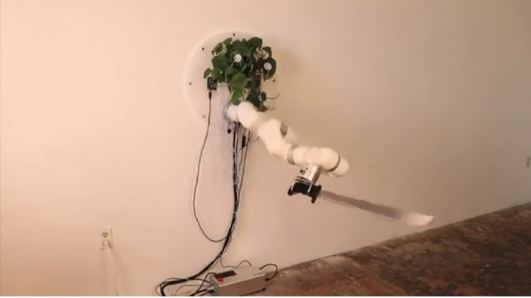 plant robot machete