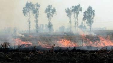 Stubble Burning: How regenerative farming, biochar and generous financing can solve many problems in one go