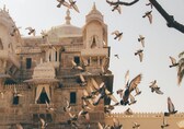 In Udaipur, on a trail of Maharana Pratap and his management lessons