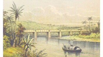 The daily dose of quinine was what prevented British soldiers falling to diseases like malaria. (Representational image: British Library via Unsplash)