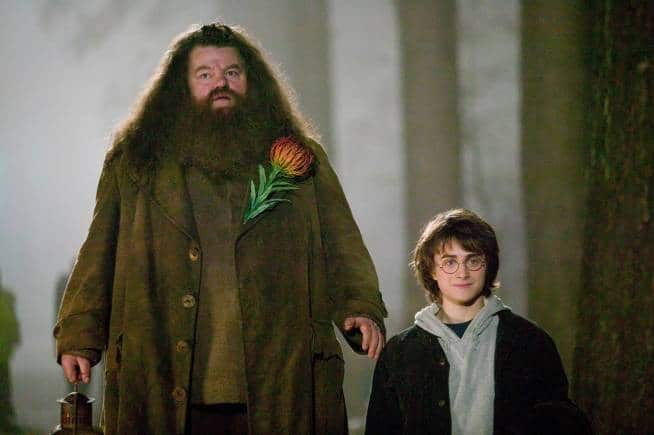 Actor Robbie Coltrane, Who Played Hagrid In Harry Potter Films, Passes Away