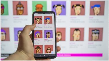 Lex | NFTs: regulators go ape amid market downturn