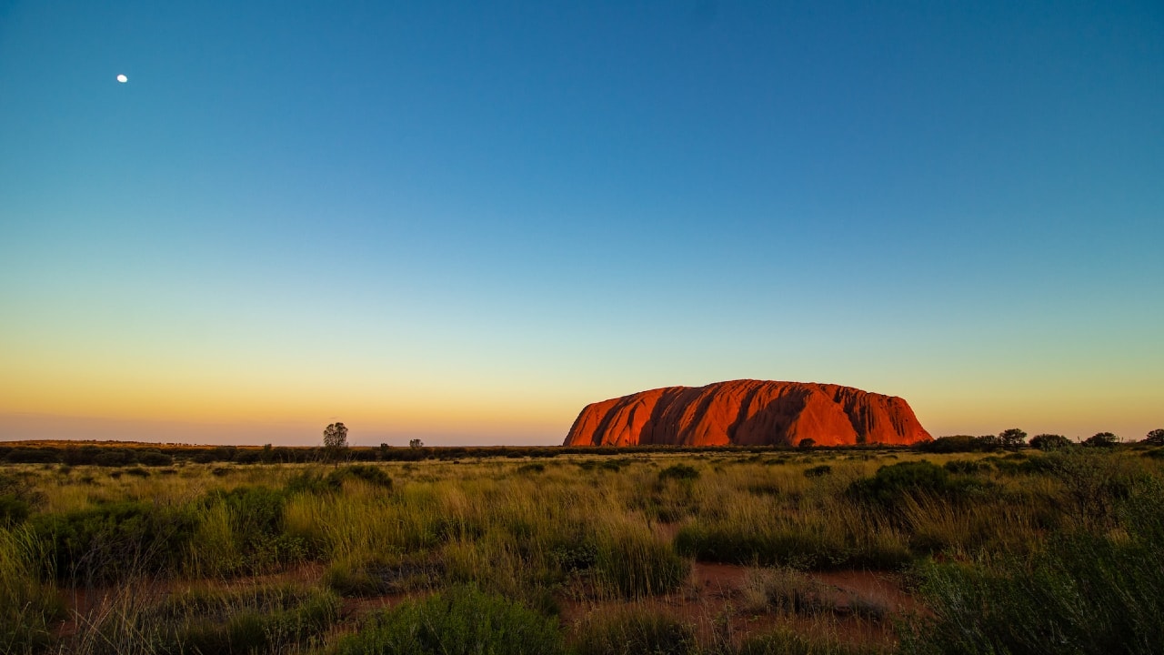 Tourism Australia launches new campaign, even as the T20 World Cup beams from 7 cities Tourism Australia launches new campaign, even as the T20 World Cup beams from 7 cities