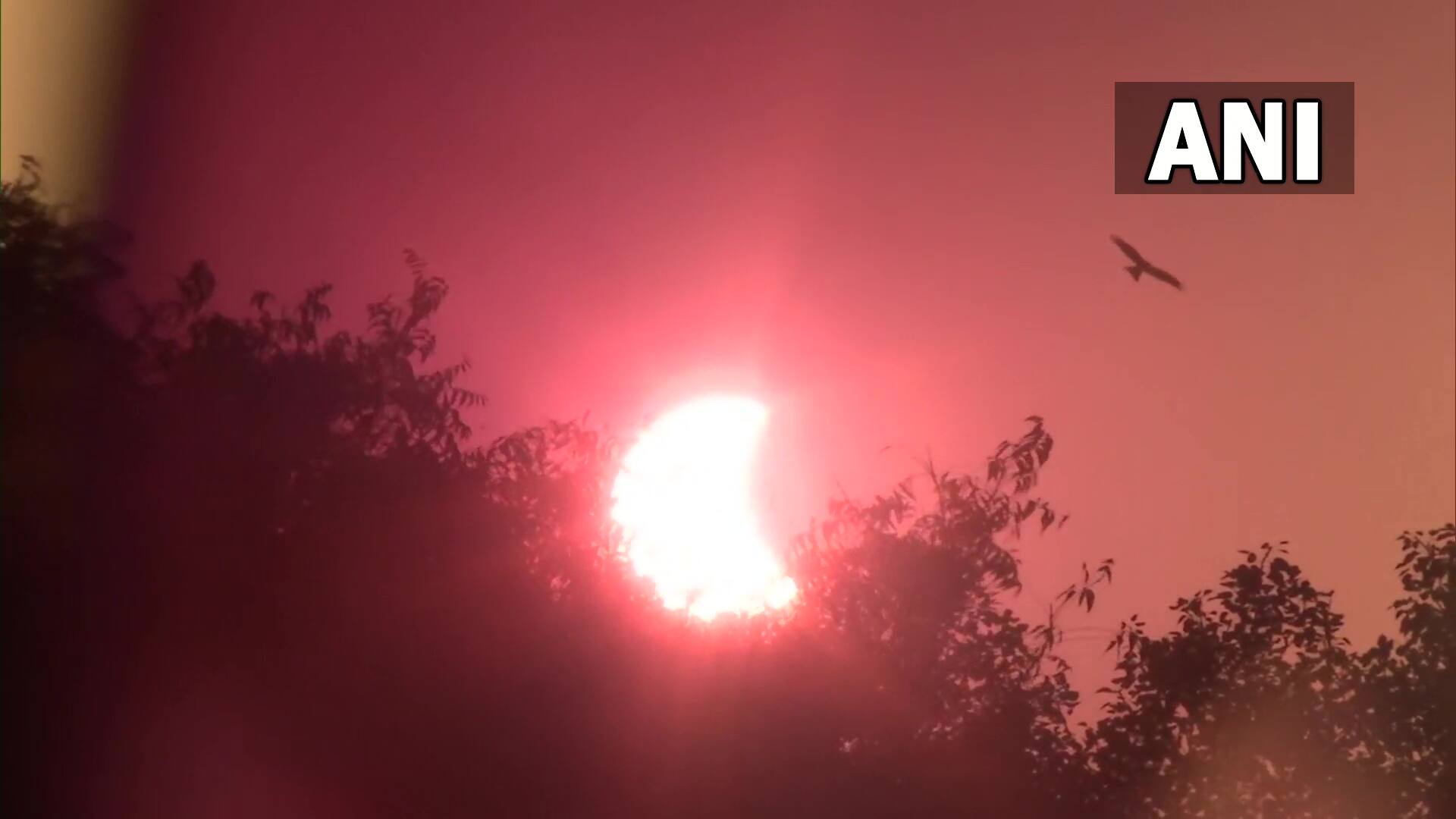 The partial solar eclipse as witnessed in Chandigarh, Punjab, on October 25. (Image credit: ANI)
