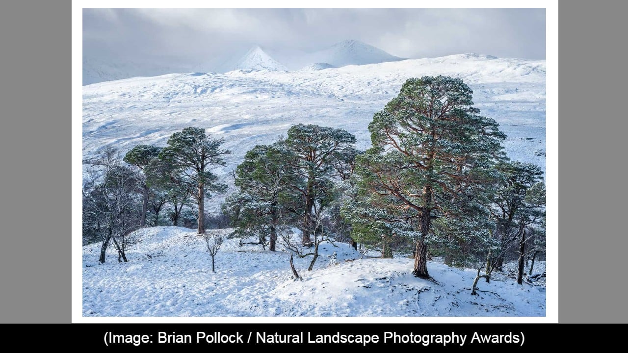 Frozen Worlds, Winner: Brian Pollock (Source: Natural Landscape Awards)