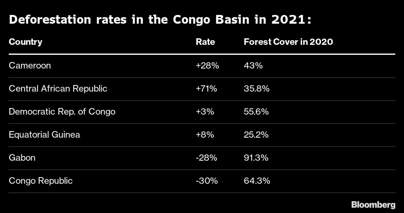 Deforestation rates in the Congo Basin in 2021: |