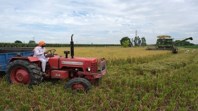 OPINION | Post-harvest zone is where agritech and climate tech intersect