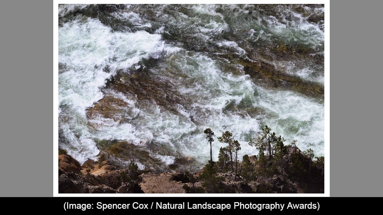 Intimate Landscapes, Winner: Spencer Cox (Source: Natural Landscape Awards)