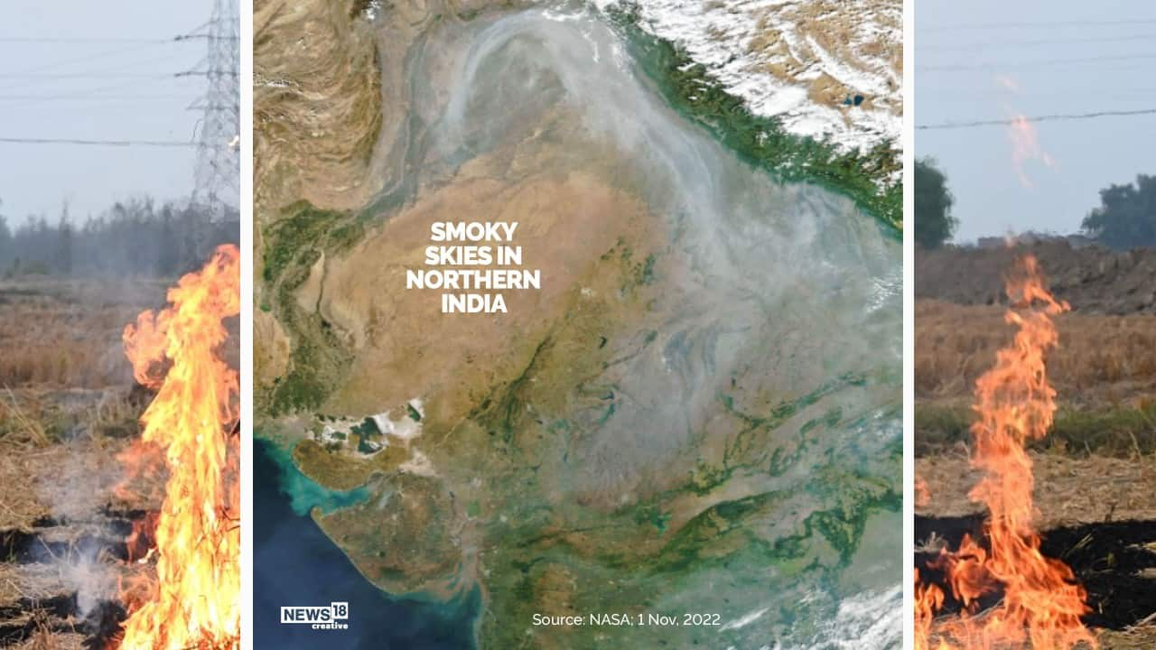 Delhi Air Pollution A Look At How Stubble Burning Affects Air Quality In Ncr 5667