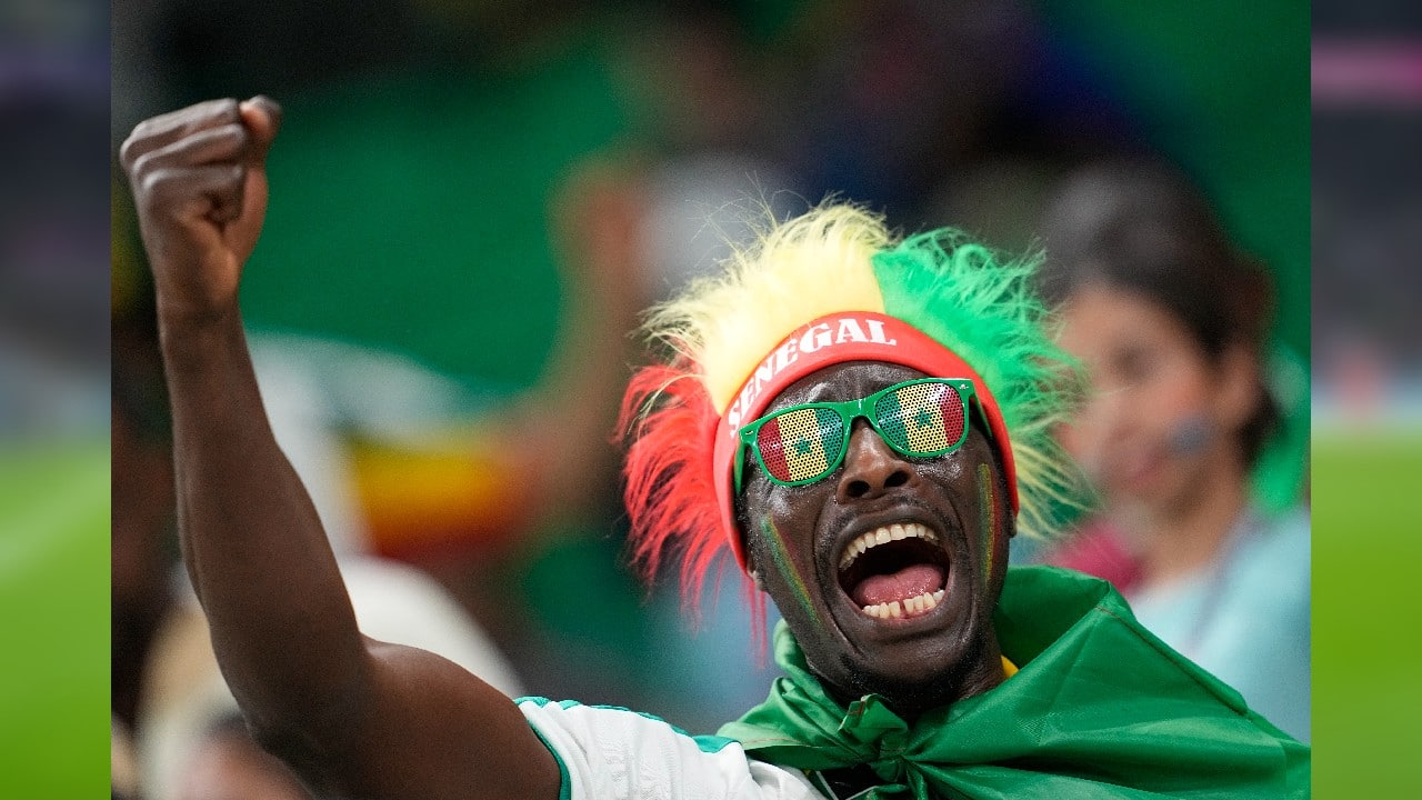 A fan of Senegal team cheers before the start of the World Cup group A soccer match between Senegal and Netherlands at the Al Thumama Stadium, in Doha, Qatar, November 21. (Image: AP)