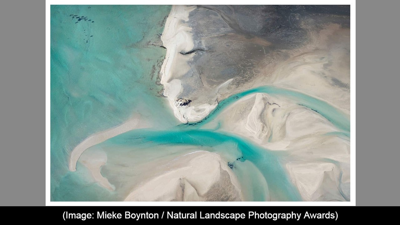 Abstracts or Details, Winner: Mieke Boynton (Source: Natural Landscape Awards)