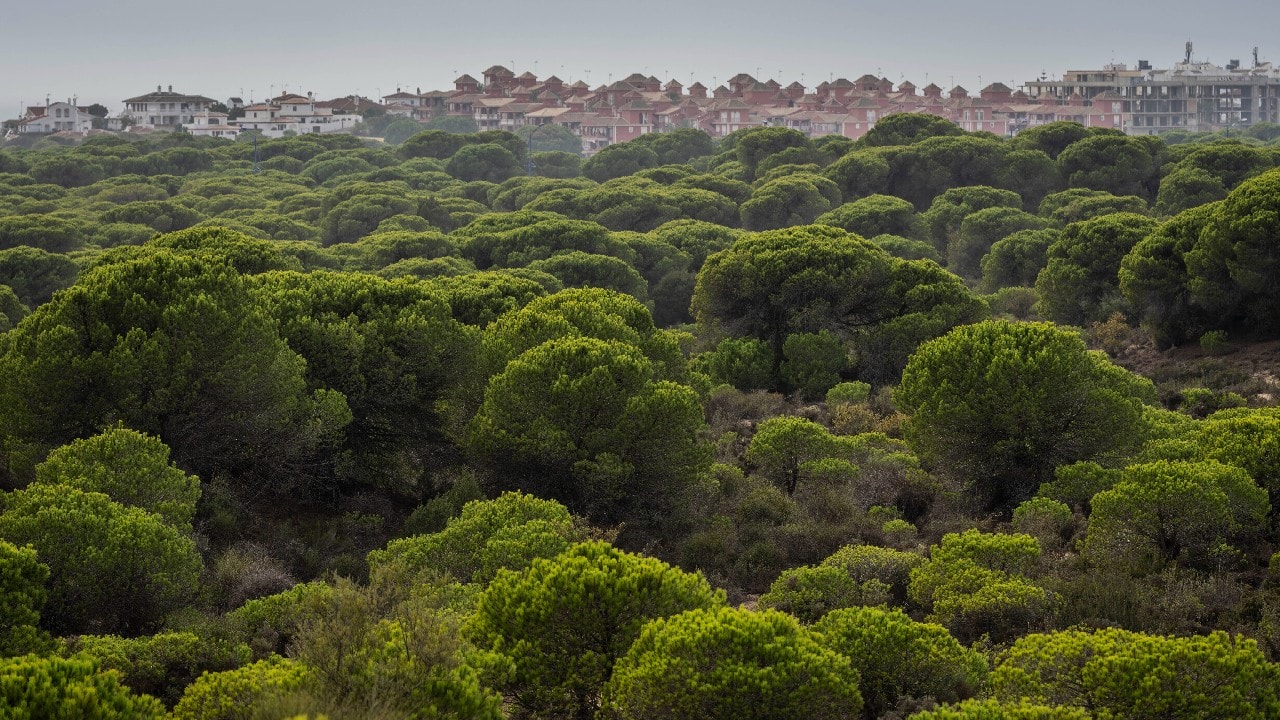 COP15 adopts biodiversity plan to protect 30% of land and water by 2030