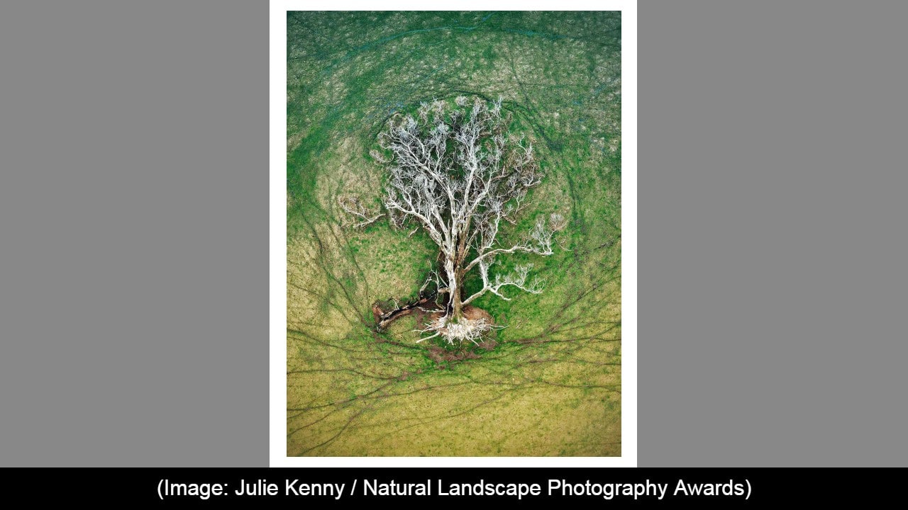 This Year, Natural Landscape Awards developed nine special awards based on genre or subject. Julie Kenny won the award for the best aerial photograph of the year. Here are the other winners for each special award. (Source: Natural Landscape Awards)