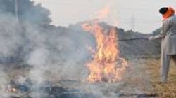 Why a late Diwali coinciding with peak stubble burning may spell bad news