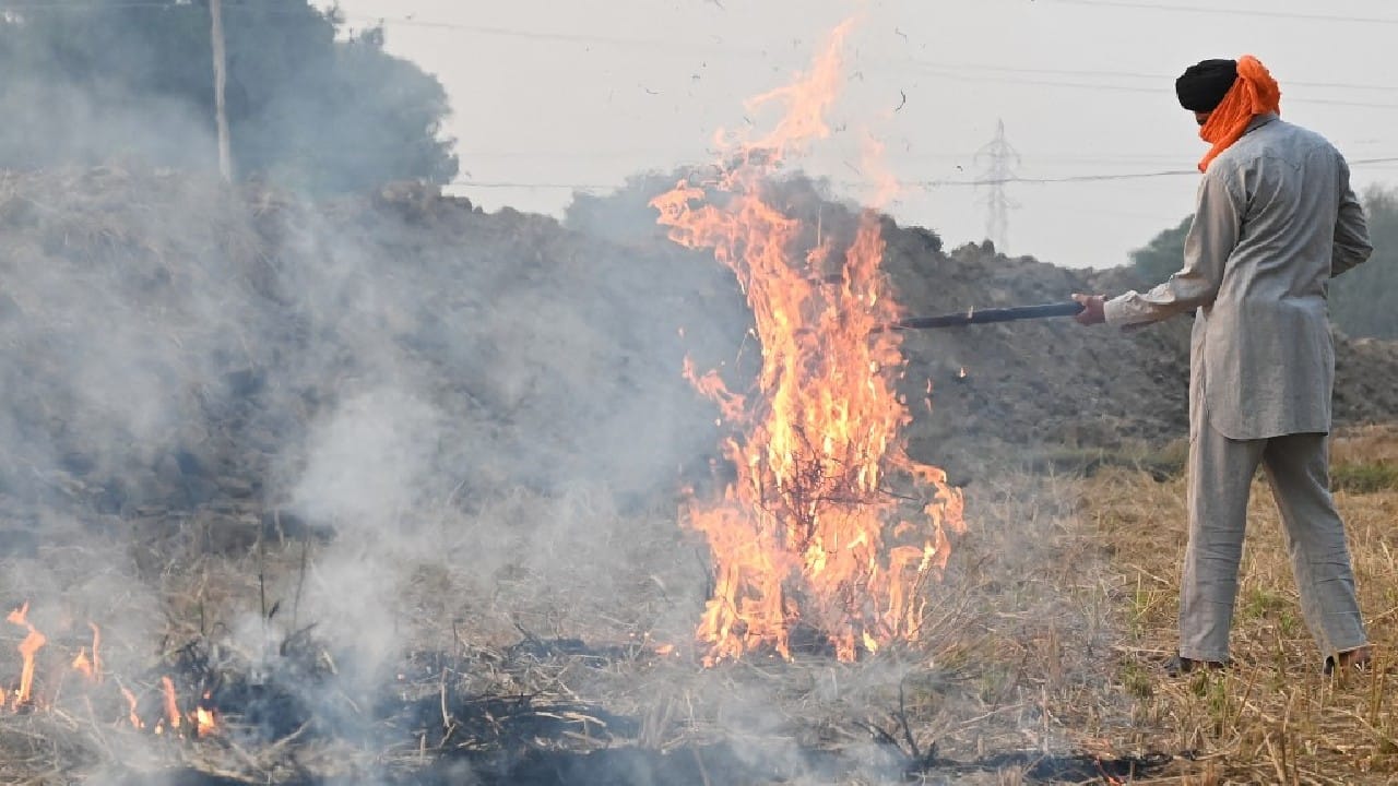 Why a late Diwali coinciding with peak stubble burning may spell bad news Why a late Diwali coinciding with peak stubble burning may spell bad news