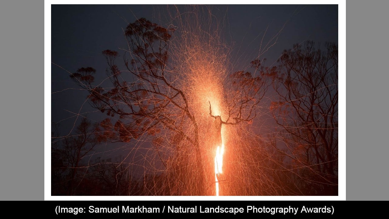 Environmental, Winner: Samuel Markham (Source: Natural Landscape Awards)